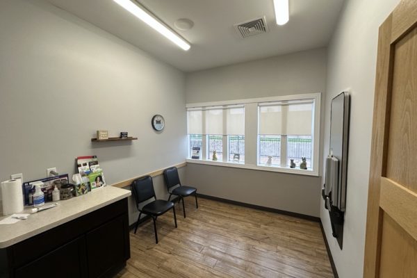 An Exam Room