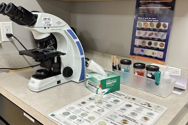 Lab Area