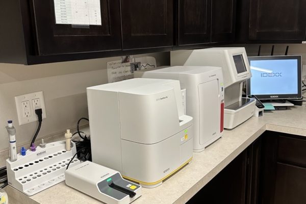 Lab Area(1)