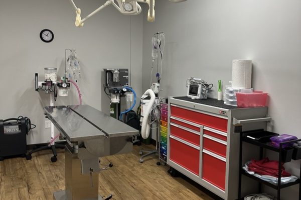 Surgery