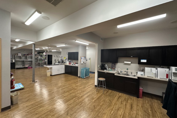 Treatment Area